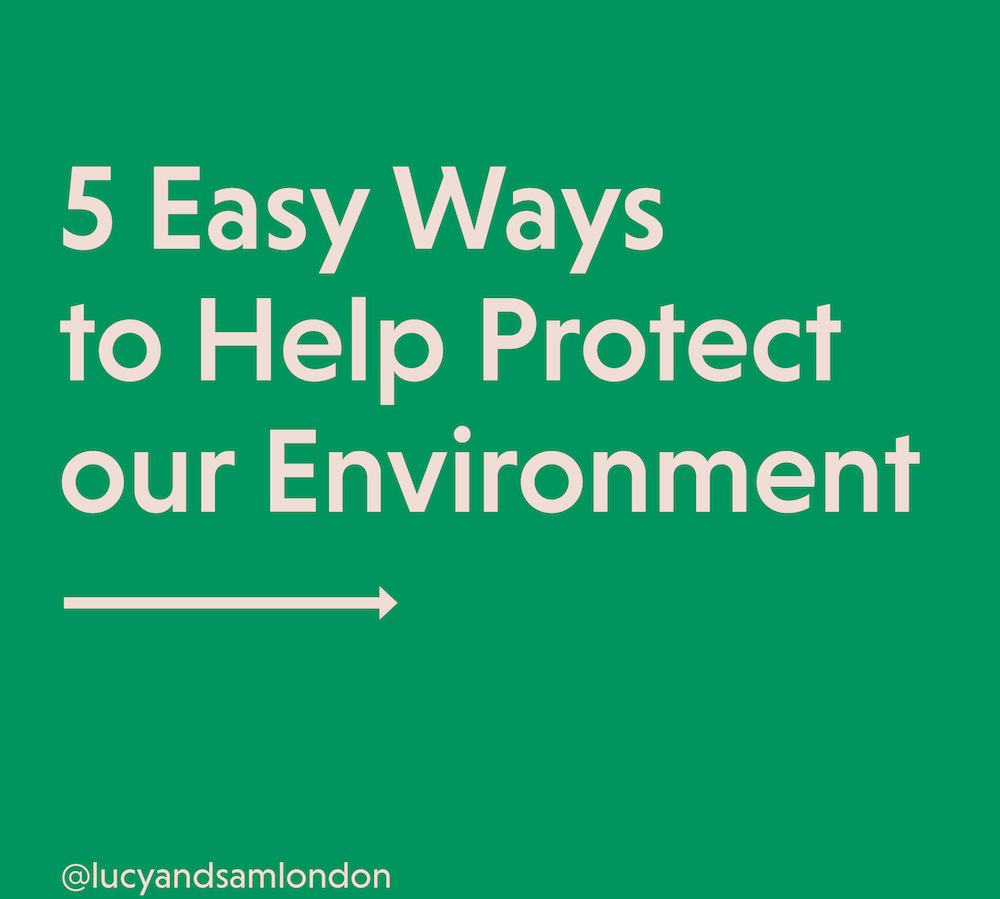 5 Easy Ways to Help Protect our Environment