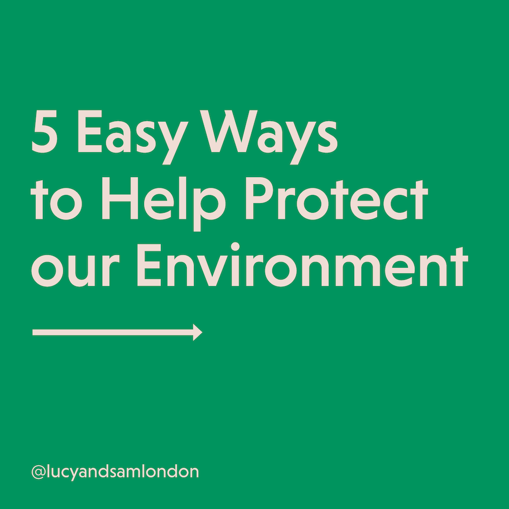 5 Easy Ways to Help Protect our Environment
