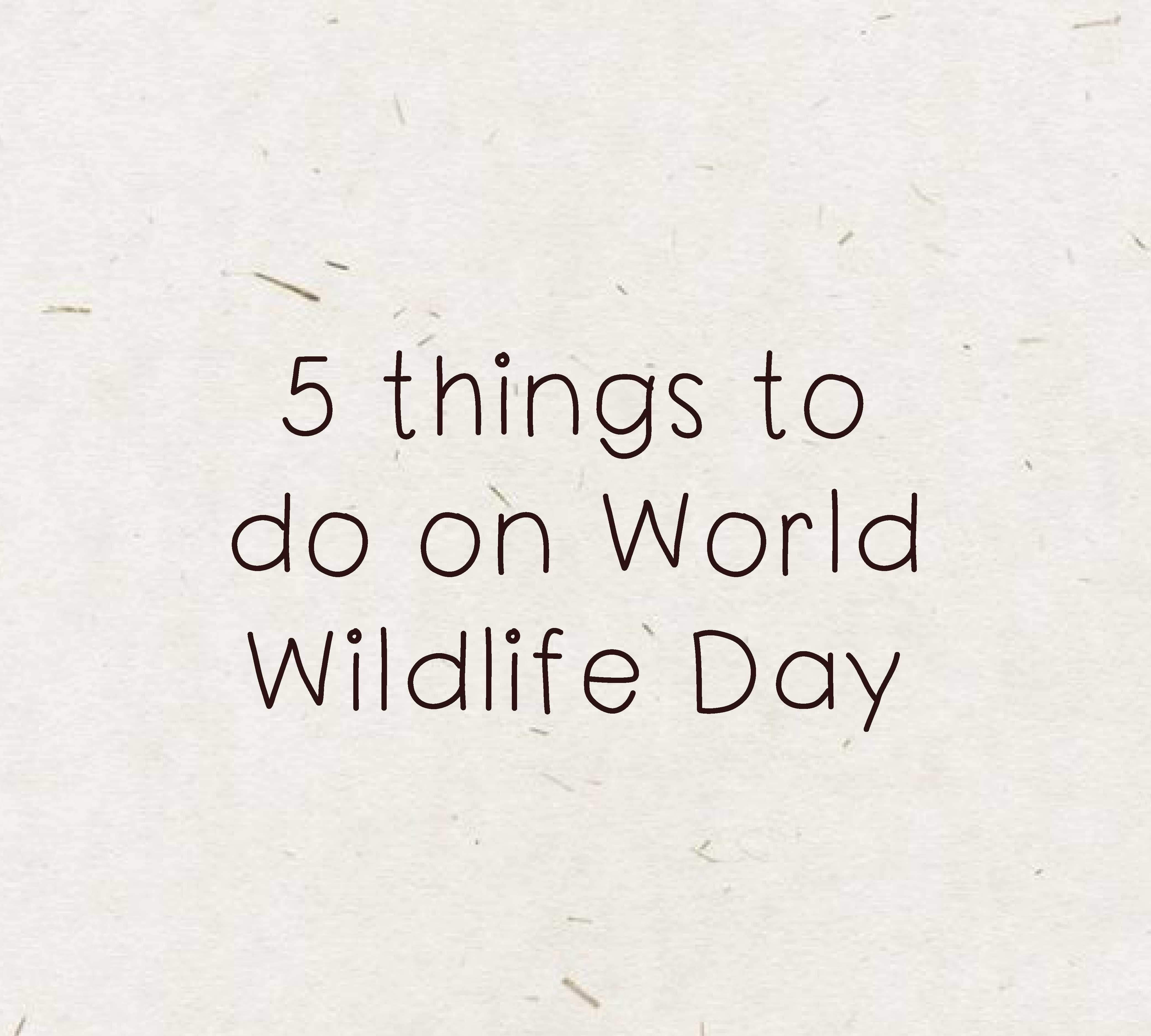 5 things to do on World Wildlife Day