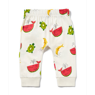 Just Imagine Harem Joggers